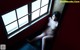 Koharu Suzuki - Usa Download Bokep P6 No.8a3bea